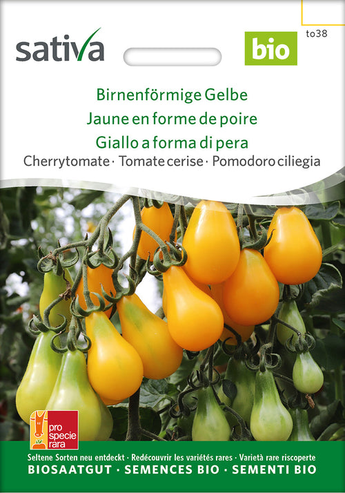 Sativa Cherrytomate Birnenförmige Gelbe