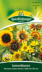 Quedlinburger Sonnenblume Mischung hoher Sorten