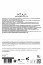Zierlauch Allium sphaerocephalon