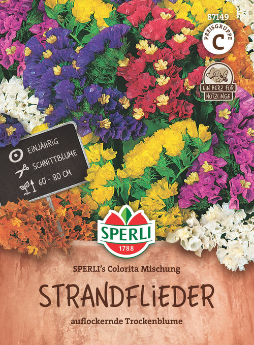 SPERLI Strandflieder SPERLI's Colorita Mischung
