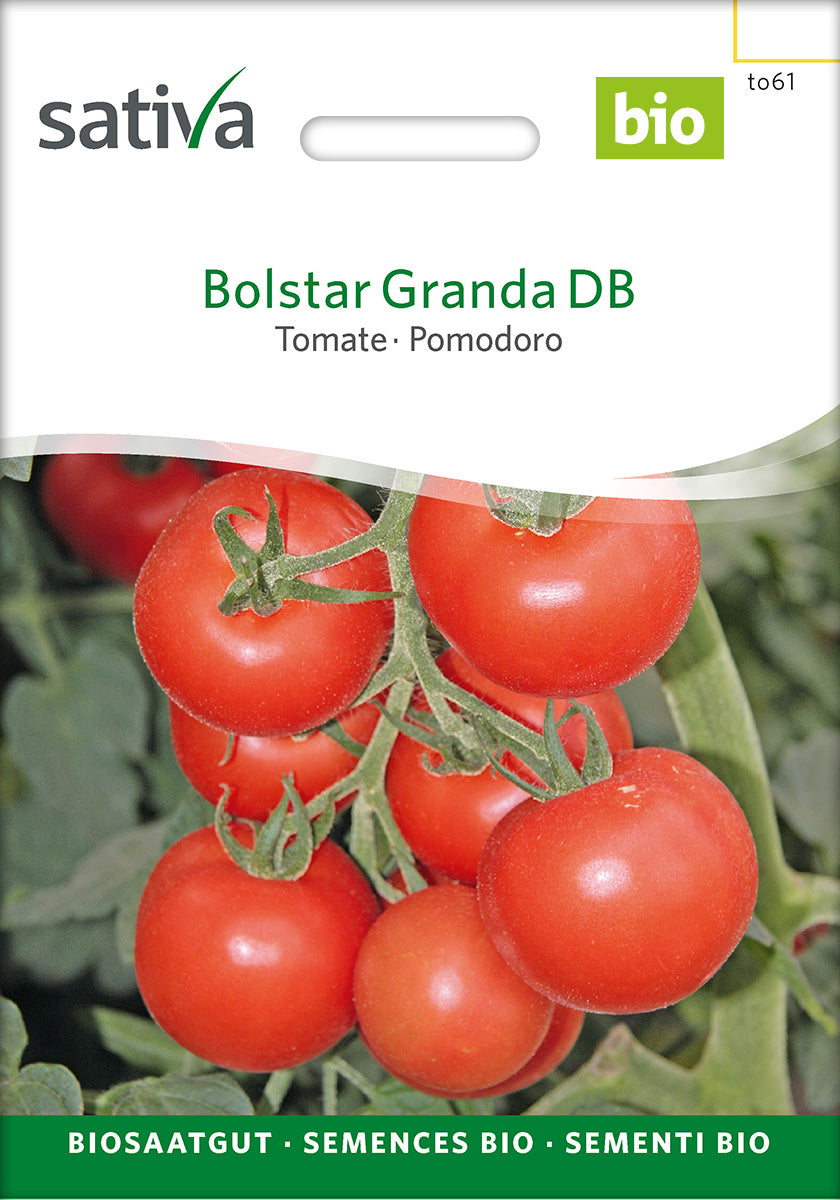 Sativa Tomate Bolstar Granda DB