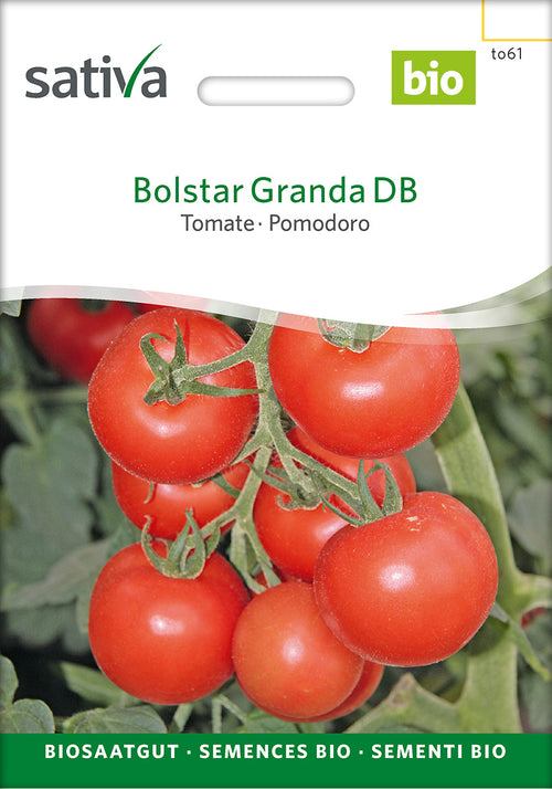 Sativa Tomate Bolstar Granda DB