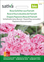 Sativa Schlafmohn Rosa Gefüllter aus Flamatt