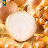 Zwiebel
