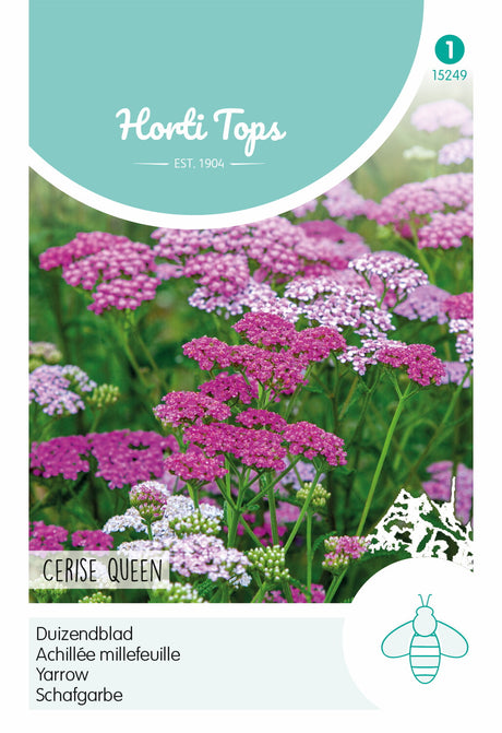 Horti Tops Schafgarbe Cerise Queen