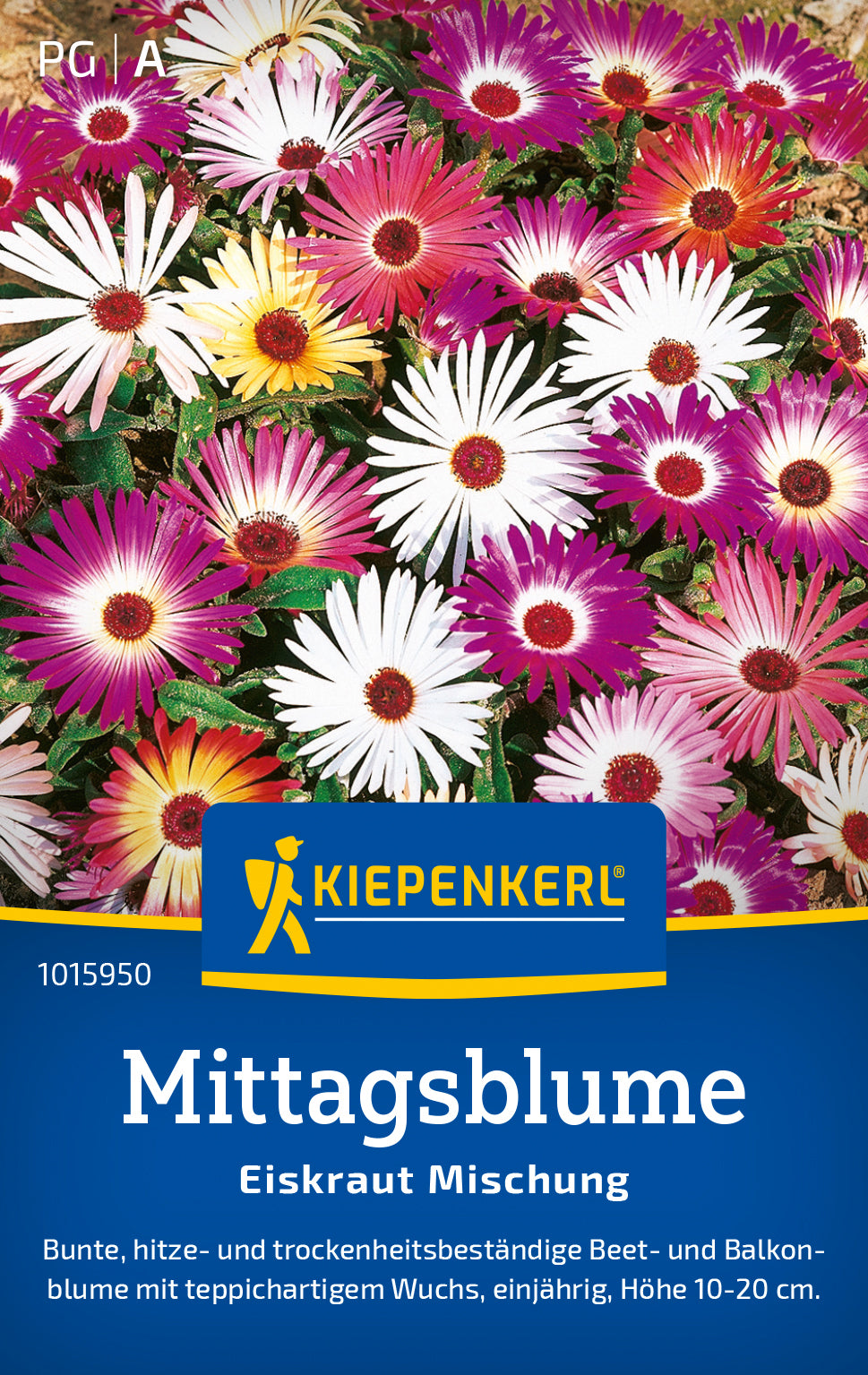 Kiepenkerl Mittagsblumen Eiskraut Mischung