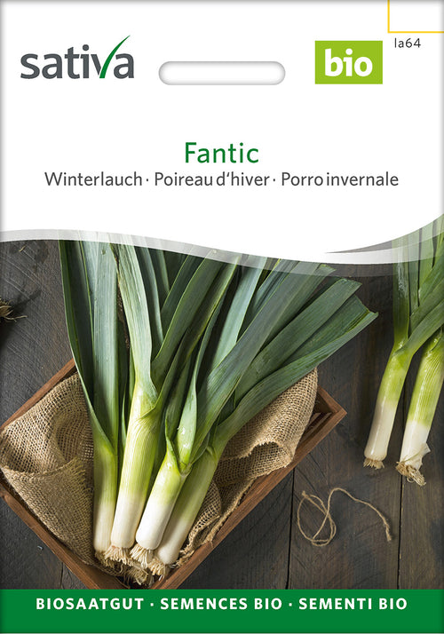 Sativa Winterlauch Fantic