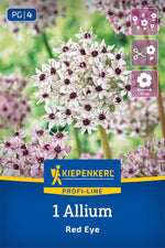 Profi-Line Zierlauch Red Eye