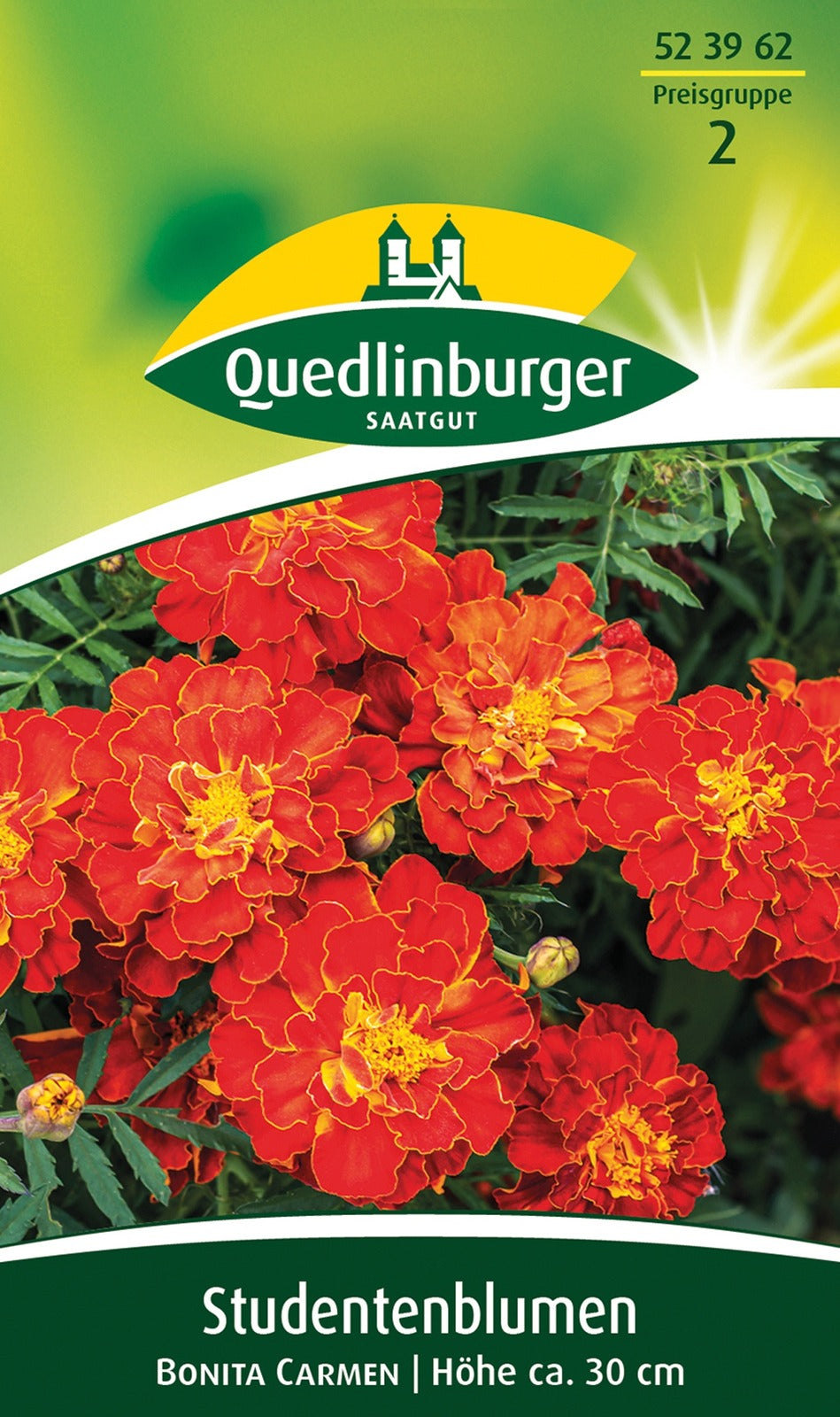 Quedlinburger Studentenblume Bonita Carmen
