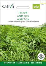Sativa Dill Tetra