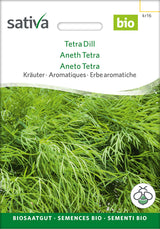 Sativa Dill Tetra