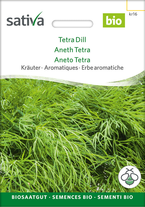 Sativa Dill Tetra