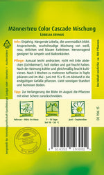 Quedlinburger Männertreu - Lobelie Color Cascade Mischung