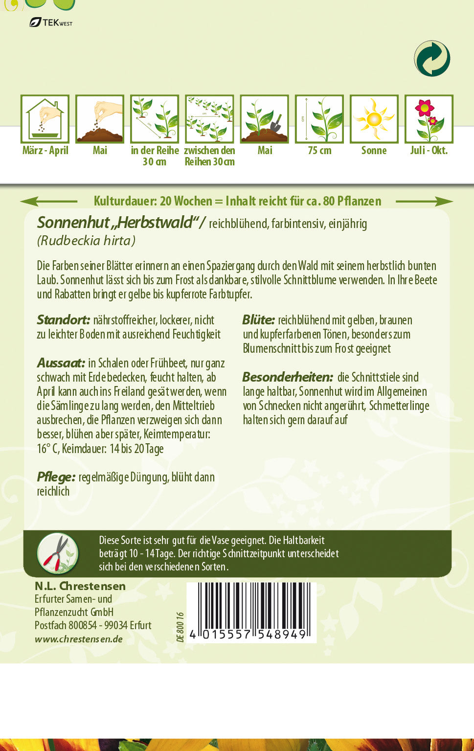 N.L. Chrestensen Sonnenhut Herbstwald