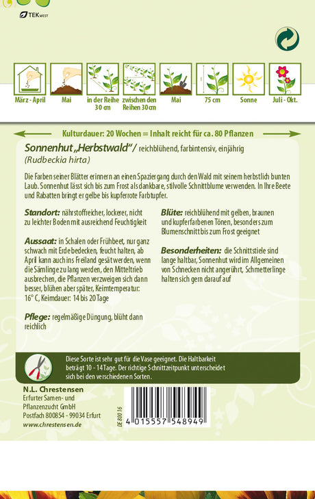 N.L. Chrestensen Sonnenhut Herbstwald