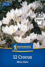 Botanischer Krokus Miss Vain