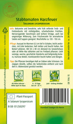 Quedlinburger Stabtomate Harzfeuer
