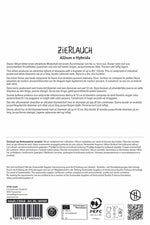 Premium Zierlauch Summer Drummer