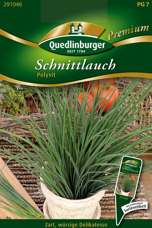 Quedlinburger Schnittlauch  Polyvit