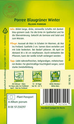 Quedlinburger Porree Blaugrüner Winter