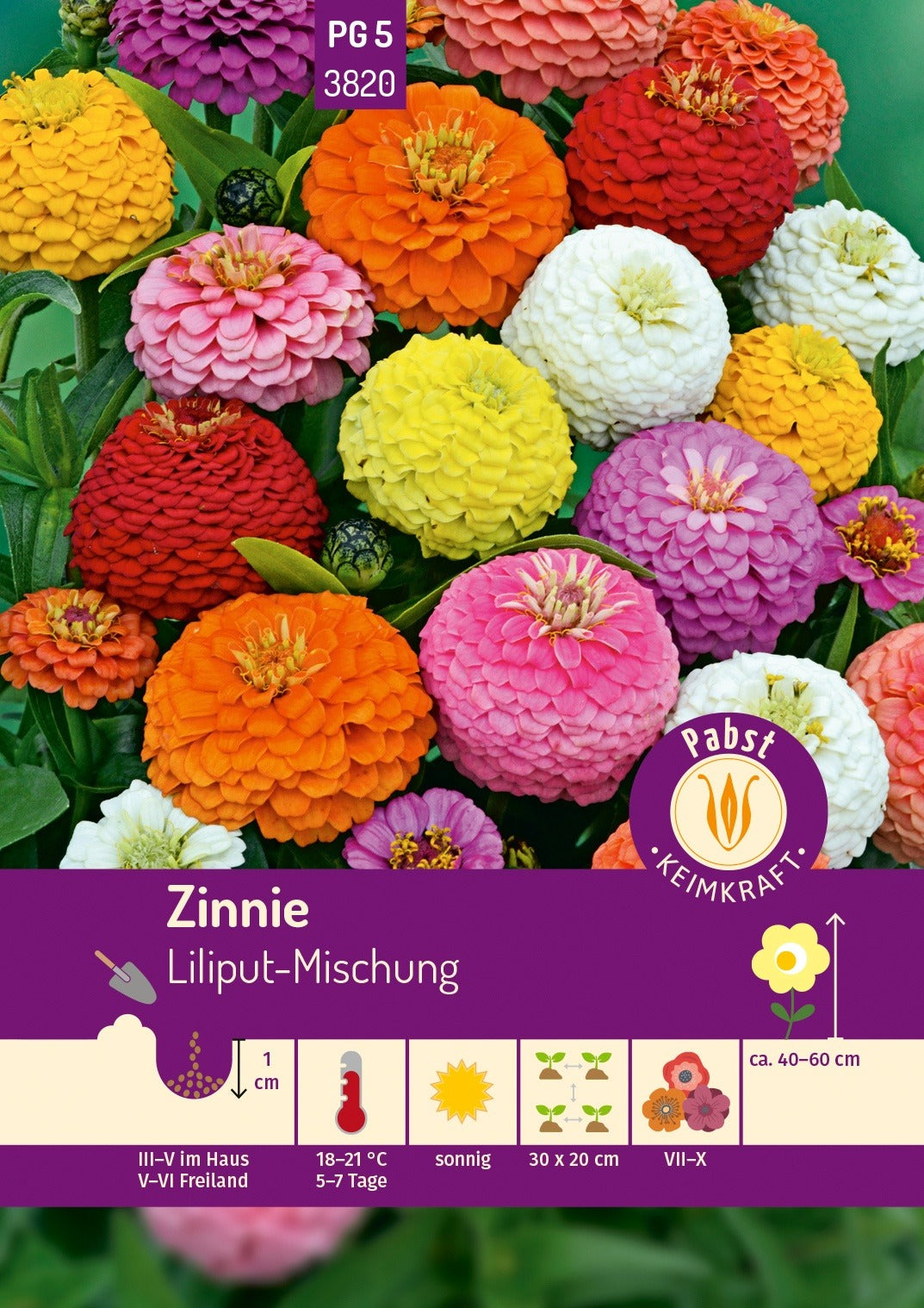 Pabst Keimkraft Zinnien Liliput Mischung