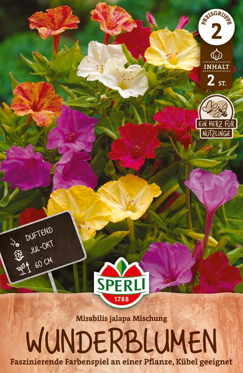 SPERLI Blumenzwiebeln Wunderblume