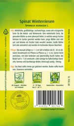 Quedlinburger Herbst- & Winterspinat Winterriesen