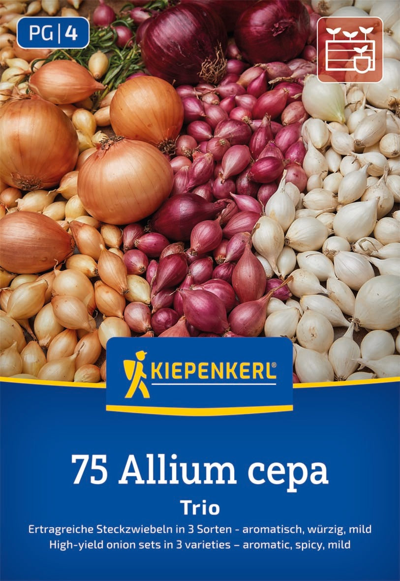 Kiepenkerl Steckzwiebel Trio 75 Stück