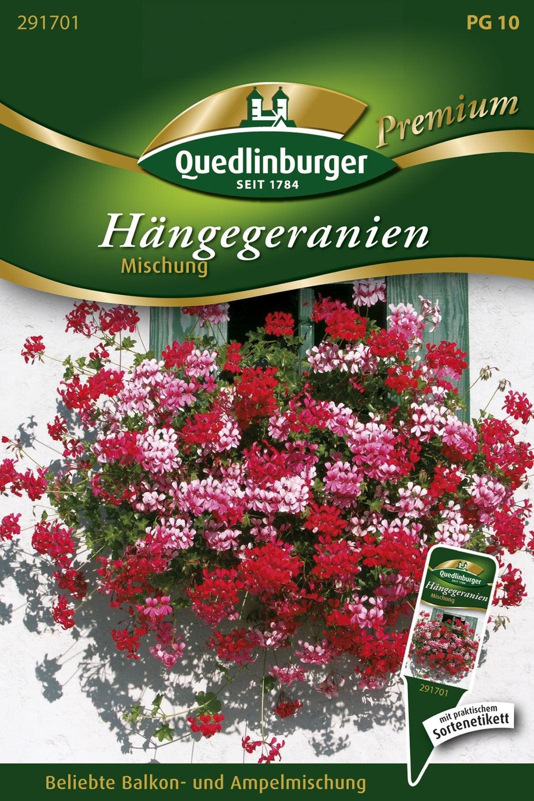 Quedlinburger Hängegeranien Mischung
