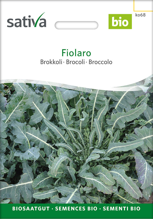 Sativa Brokkoli Fiolaro