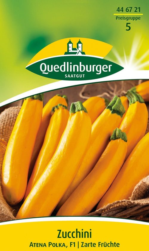 Quedlinburger Zucchini Atena Polka