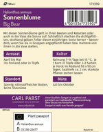 Pabst Keimkraft Sonnenblumen Hohe Sonnengold