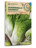 Samen Maier BIO Zichoriensalat Zuckerhut