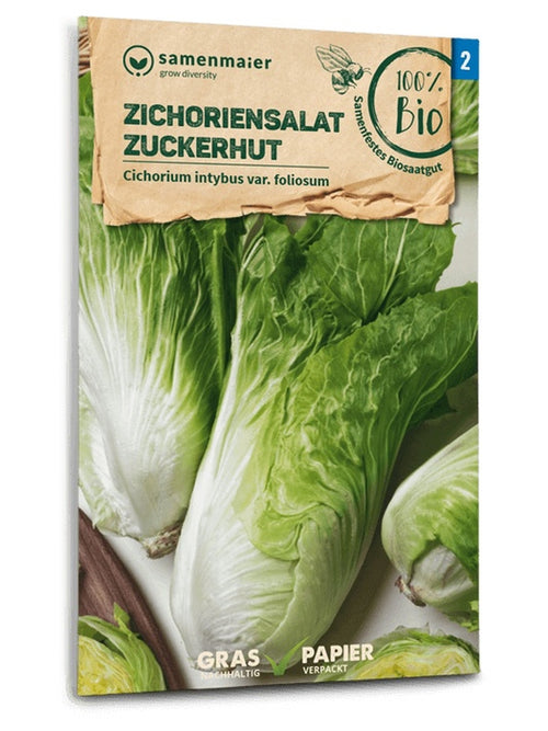 Samen Maier BIO Zichoriensalat Zuckerhut