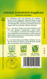 Quedlinburger Liebstöckel Maggikraut mehrjährig