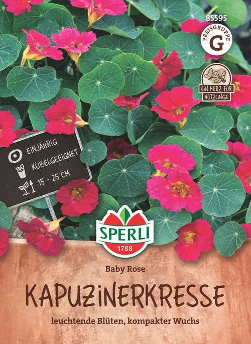SPERLI Kapuzinerkresse Baby Rose