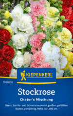 Kiepenkerl Stockrosen Chater’s Mischung