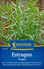 Kiepenkerl Estragon Dragon