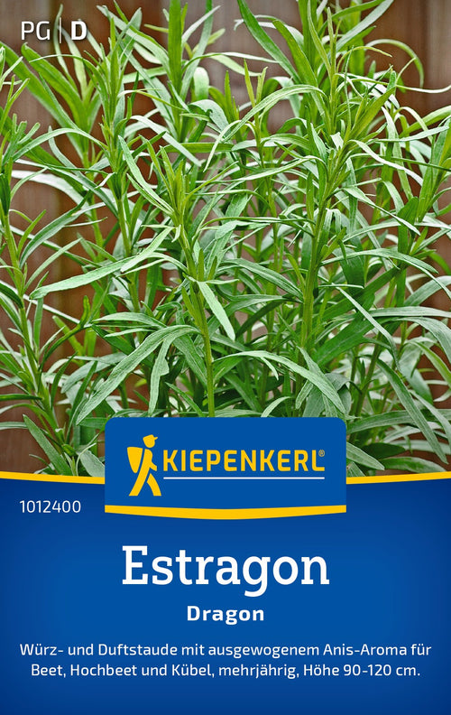 Kiepenkerl Estragon Dragon