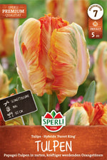 Premium Papagei-Tulpe Parrot King