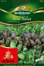 Quedlinburger Asiasalat Spicy Mischung