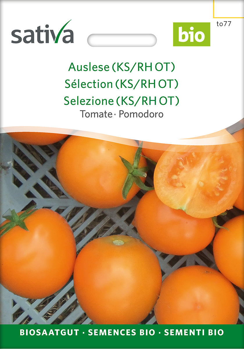 Sativa Tomate Auslese (KS/RH OT)