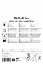Wild-Gladiole