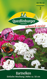 Quedlinburger Bartnelke einfache Mischung