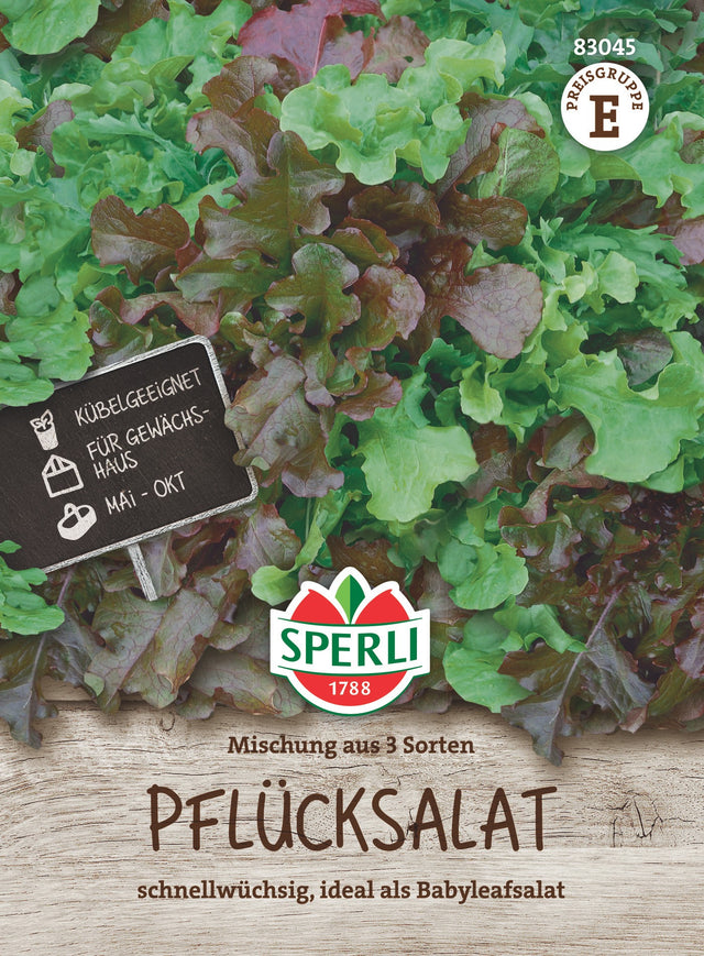 SPERLI Pflück- & Schnittsalat Mischung Lollo rossa, Salad Bowl, Amerikanischer brauner
