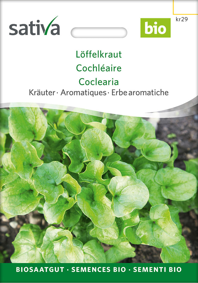Sativa Löffelkraut