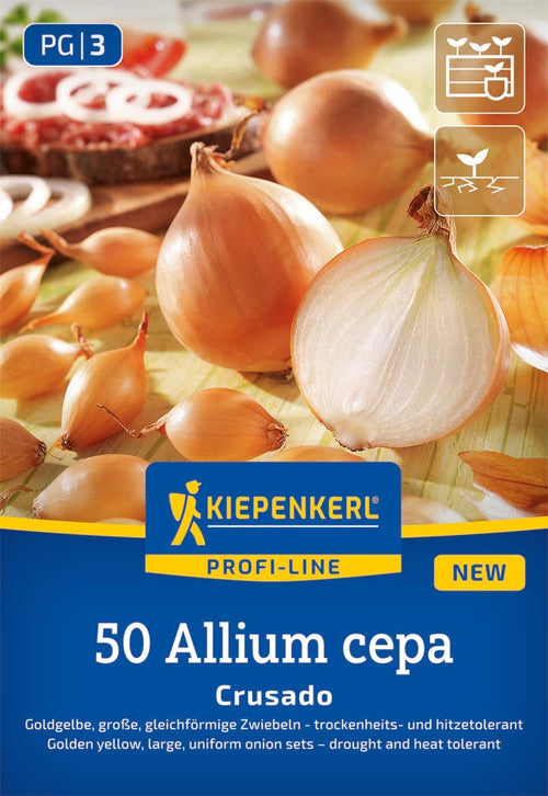Kiepenkerl Steckzwiebel Crusado 50 Stück