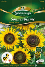 Quedlinburger Sonnenblume Henry Wilde