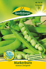 Quedlinburger Markerbse Gloriosa