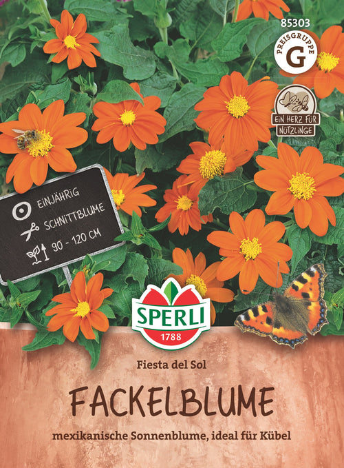 SPERLI Fackelblume Fiesta del Sol